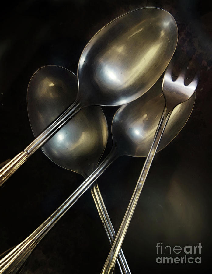 Soft Silver Photograph by John Anderson Fine Art America