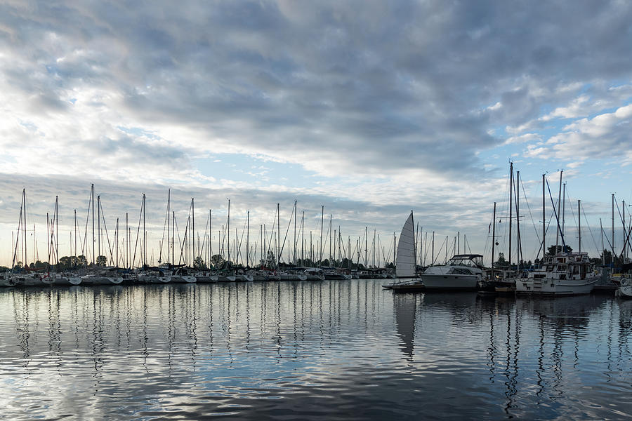 Soft Silver Morning - Reflecting on Sails and Yachts Photograph by Georgia Mizuleva