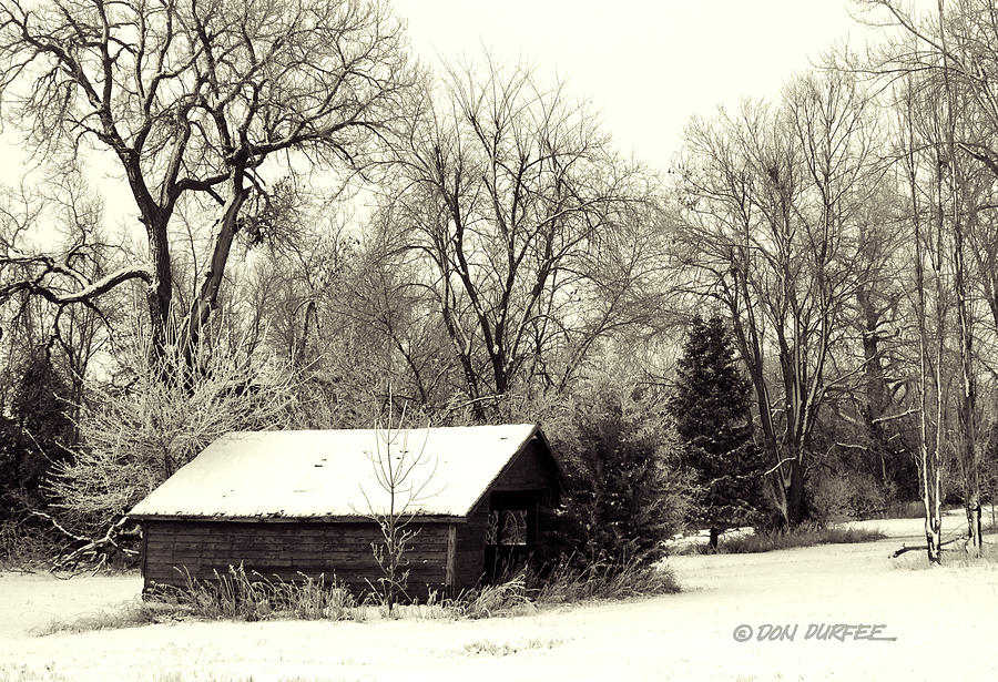Soft Snow Cover Photograph by Don Durfee