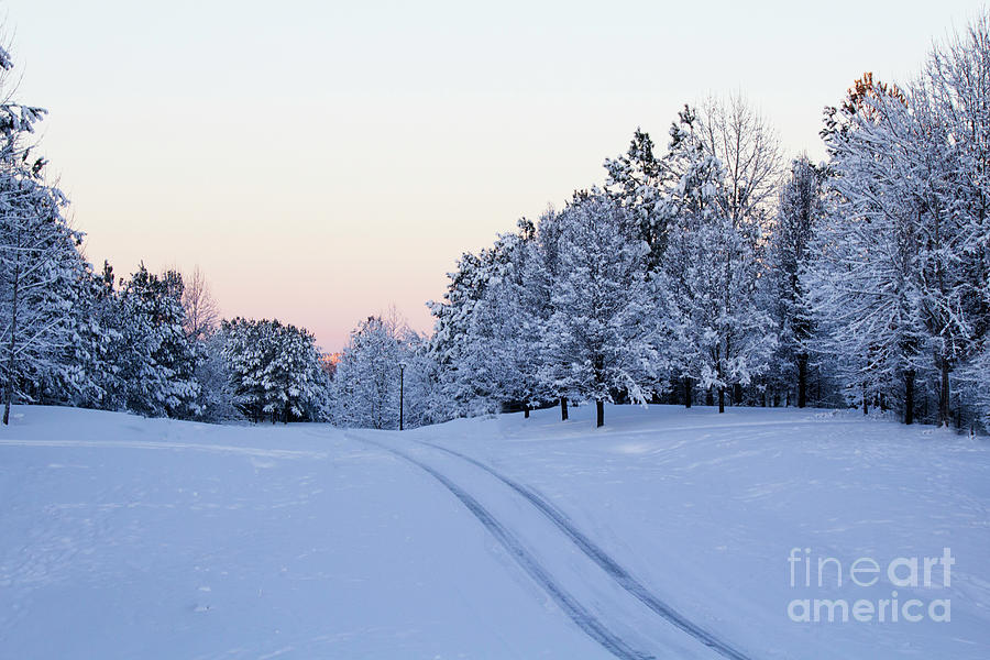 Soft Snow Covered Morning Photograph by Sandra Clark