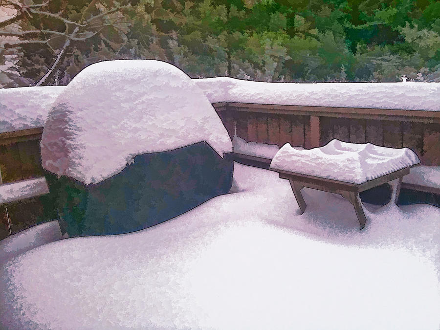 Soft Snow on the Deck Photograph by Richard Goldman