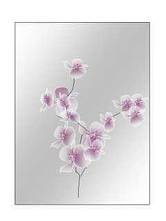 Soft spring Digital Art by Mousumi Mani Soft spring Digital Art by Mousumi Mani