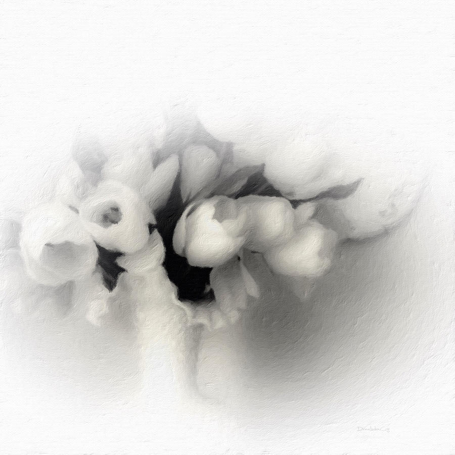 Soft White Tulips Photograph by Diane Lindon Coy