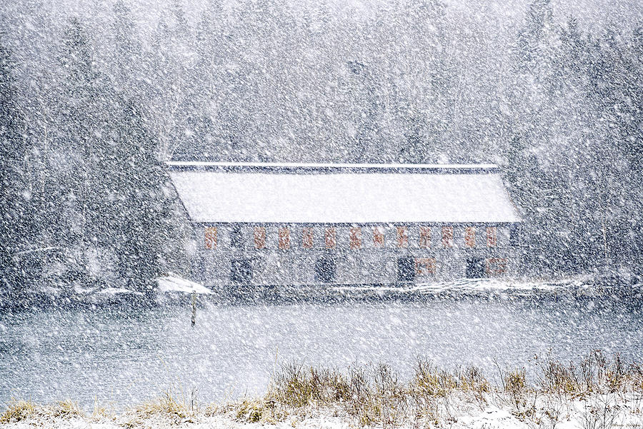 Soft Whiteout At the Old Smokehouse Photograph by Marty Saccone