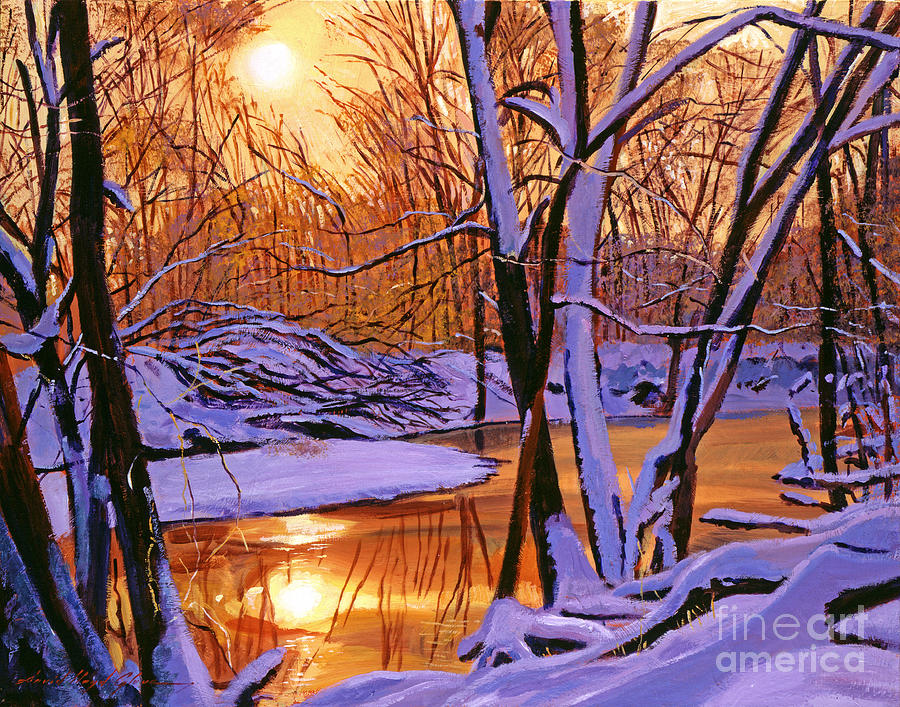 Soft Winter Light Painting by David Lloyd Glover