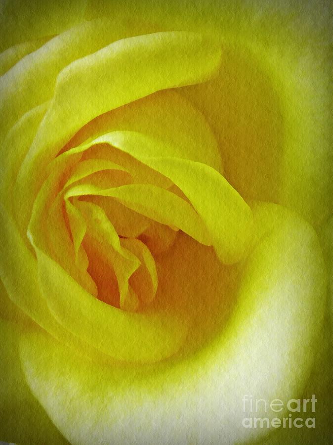 Rose Photograph - Soft Yellow Rose by Sarah Loft