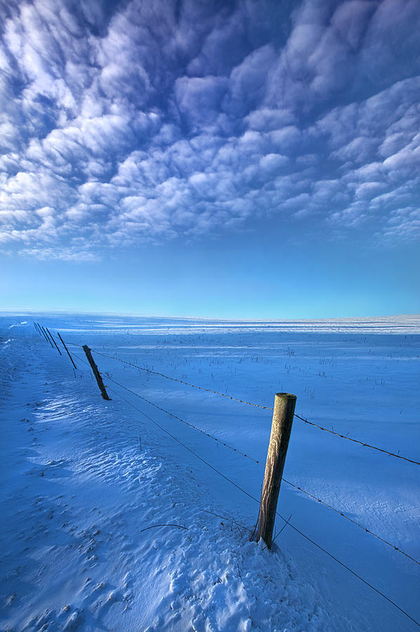 Winter Photograph - Softer Than a Lullaby by Phil Koch