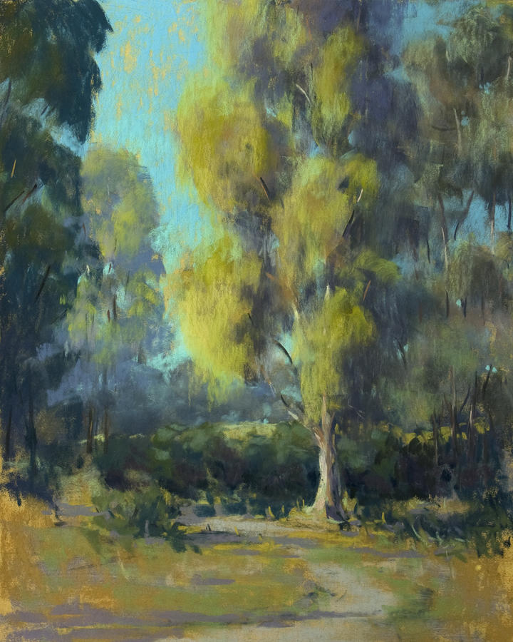 Tree Painting - Softly Lit Afternoon by Timon Sloane