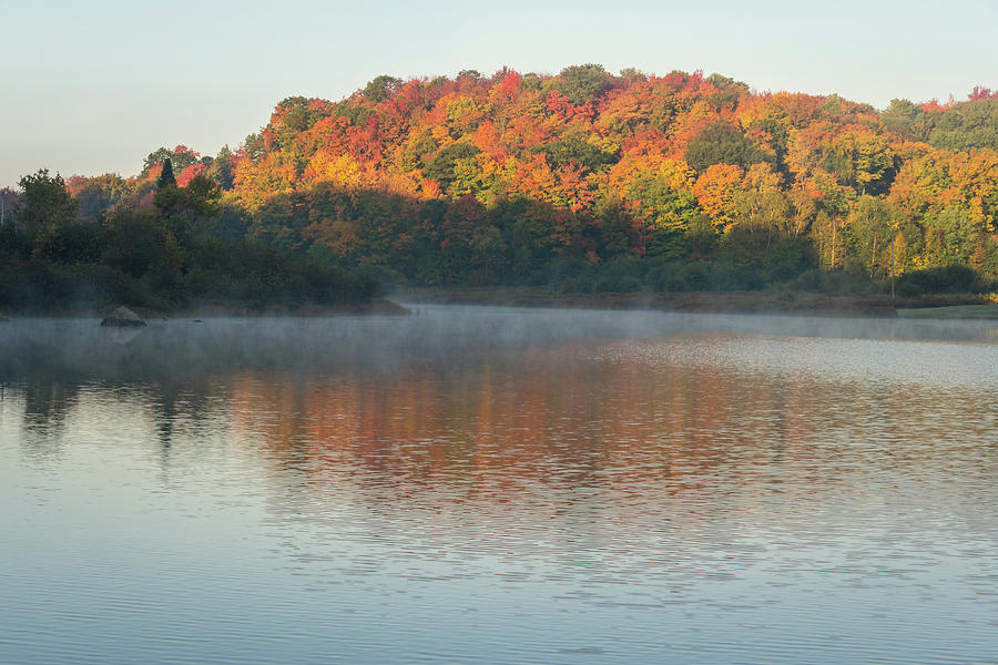 Softly - Morning Mist on Autumnal Lake Photograph by Georgia Mizuleva