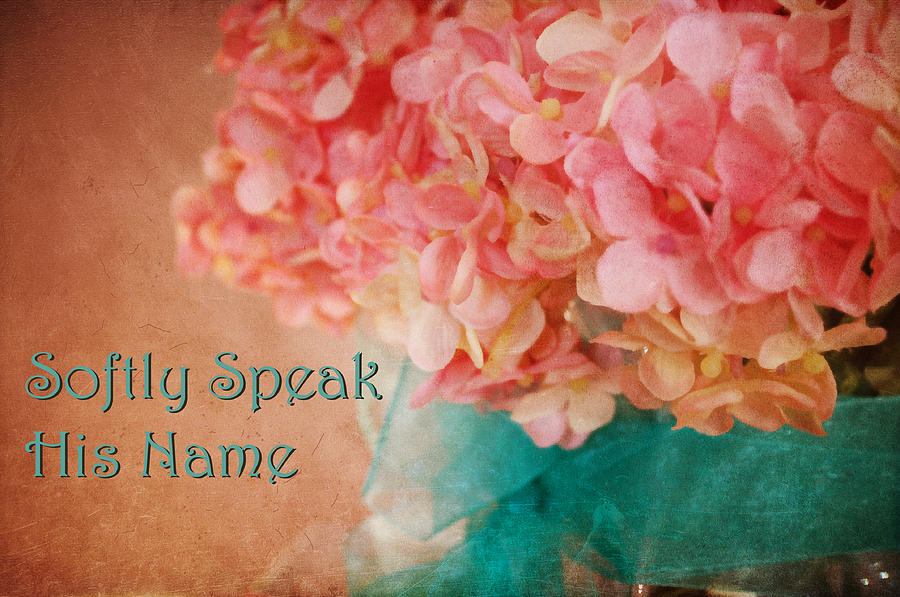 Softly Speak His Name holiday card Photograph by Paulette B Wright