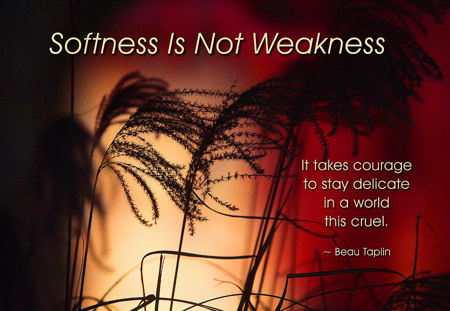 Quotation Photograph - Softness Is Not Weakness by Mike Flynn