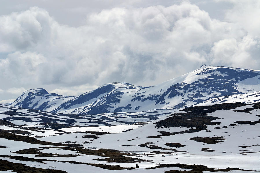 Sognefjell mountain Photograph by Terence Davis