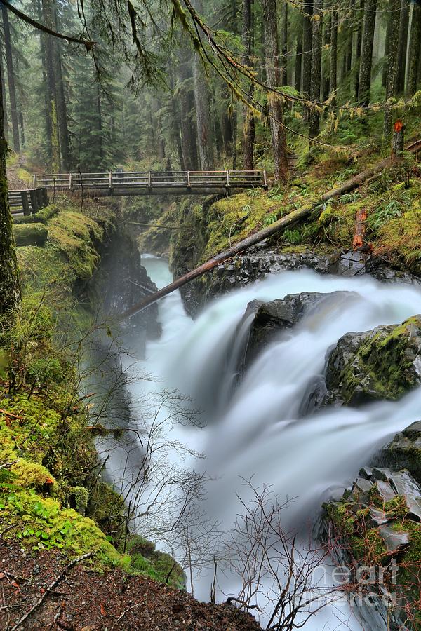 Sol Duc And The Bridge Photograph by Adam Jewell