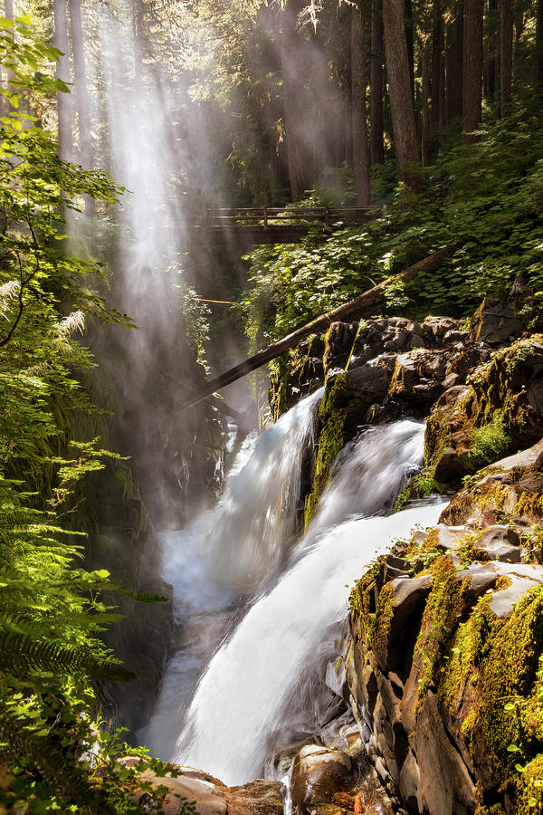 Olympic National Park Photograph - Sol Duc Falls by Adam Romanowicz