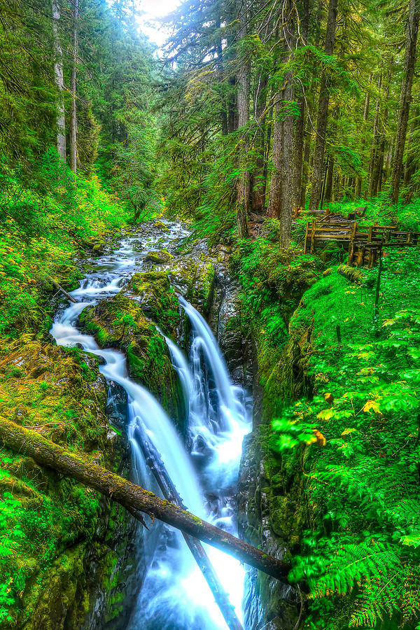 Sol Duc Falls Photograph by Don Mercer