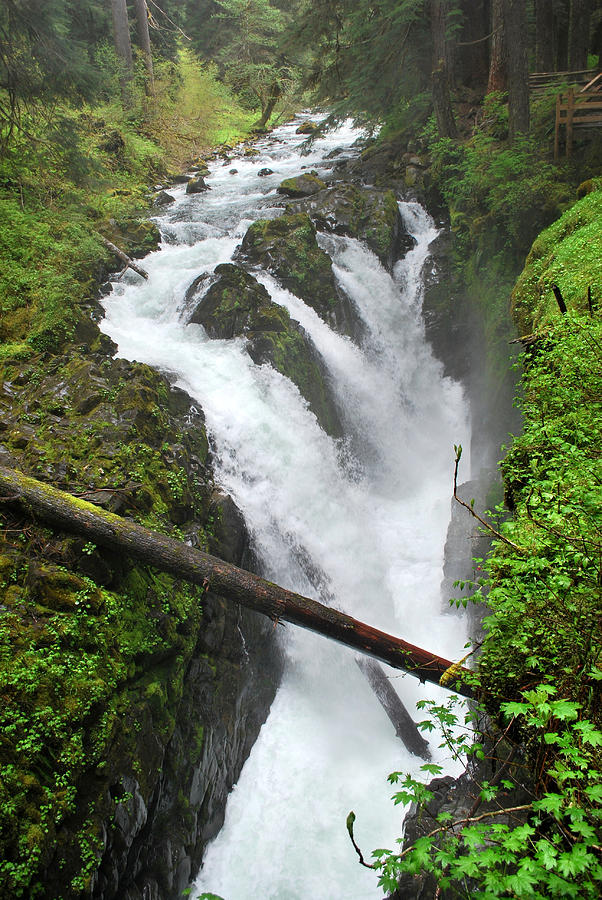 Sol Duc Falls Photograph by Two Small Potatoes