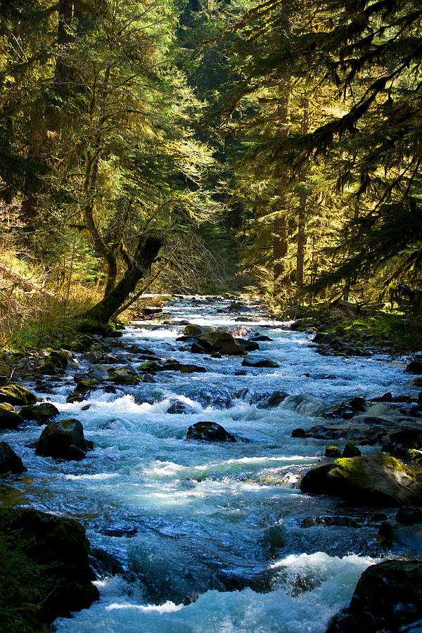 Sol Duc River Above the Falls - Washington Photograph by Marie Jamieson