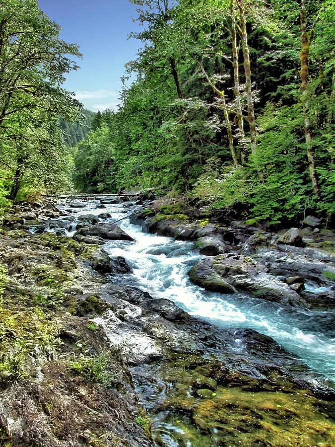 Sol Duc River - Olympic National Park Photograph by John Trommer - Fine ...