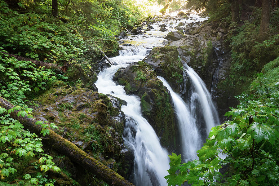Sol Duc Solitude by Crystal Hoeveler Sol Duc Solitude by Crystal Hoeveler