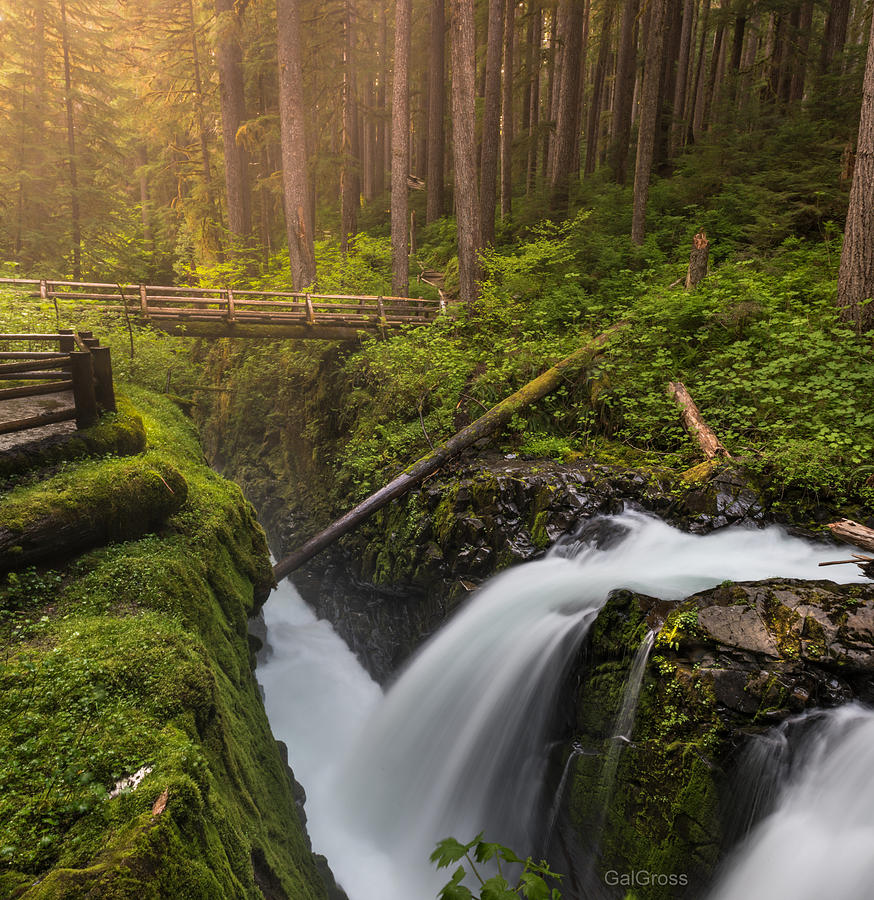 Sol Duc Waterfalls Photograph by Gal Gross | Fine Art America