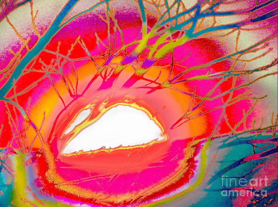 Sol of Spring Photograph by Priscilla Batzell Expressionist Art Studio Gallery Sol of Spring Photograph by Priscilla Batzell Expressionist Art Studio Gallery