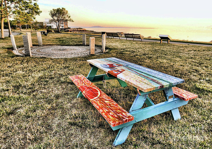 Solar Calendar and Picnic Table Photograph by Janice Drew