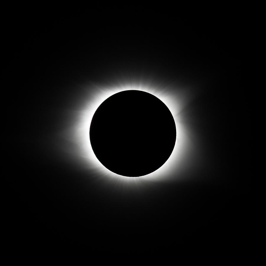 Solar Eclipse 143437 Photograph by William Bitman