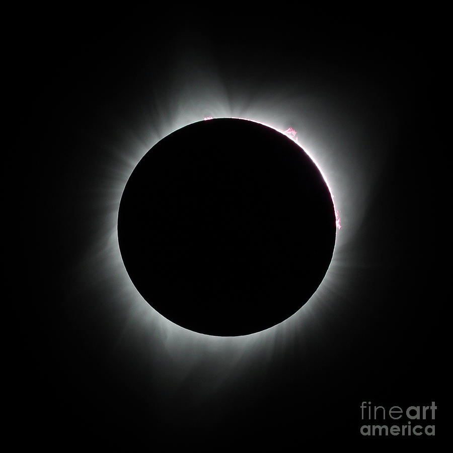 Solar Eclipse and Flares 2017 Photograph by Webb Canepa - Fine Art America