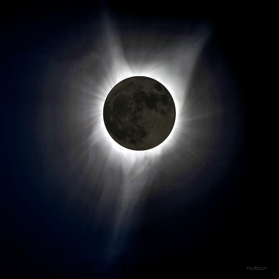 Solar Eclipse Corona Photograph by Judi Dressler