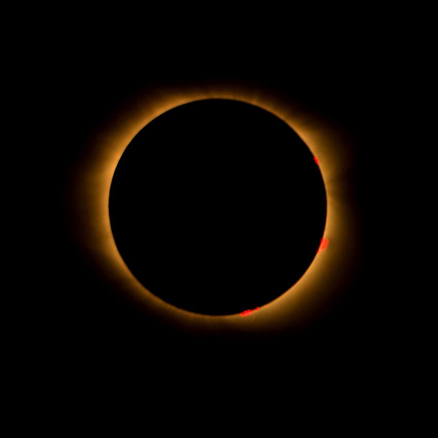 Solar Eclipse-Totality Photograph by Bradford Martin