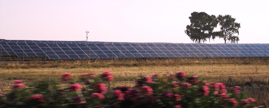 Solar Panel Farm II on the Way to Cordoba Spain Photograph by John Shiron