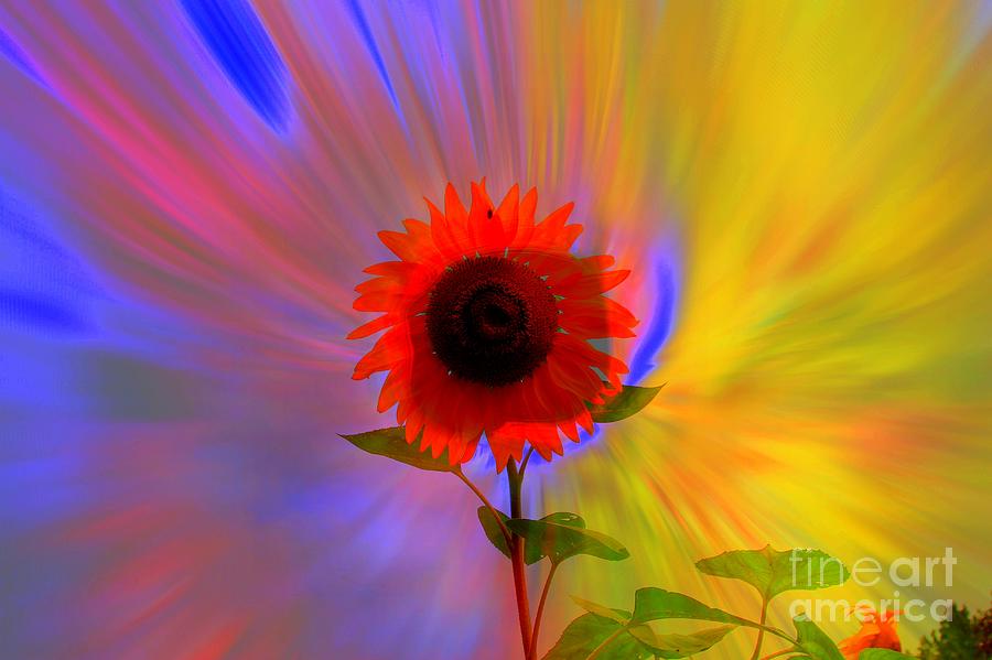 Solar Sunflower  Photograph by Rick Rauzi