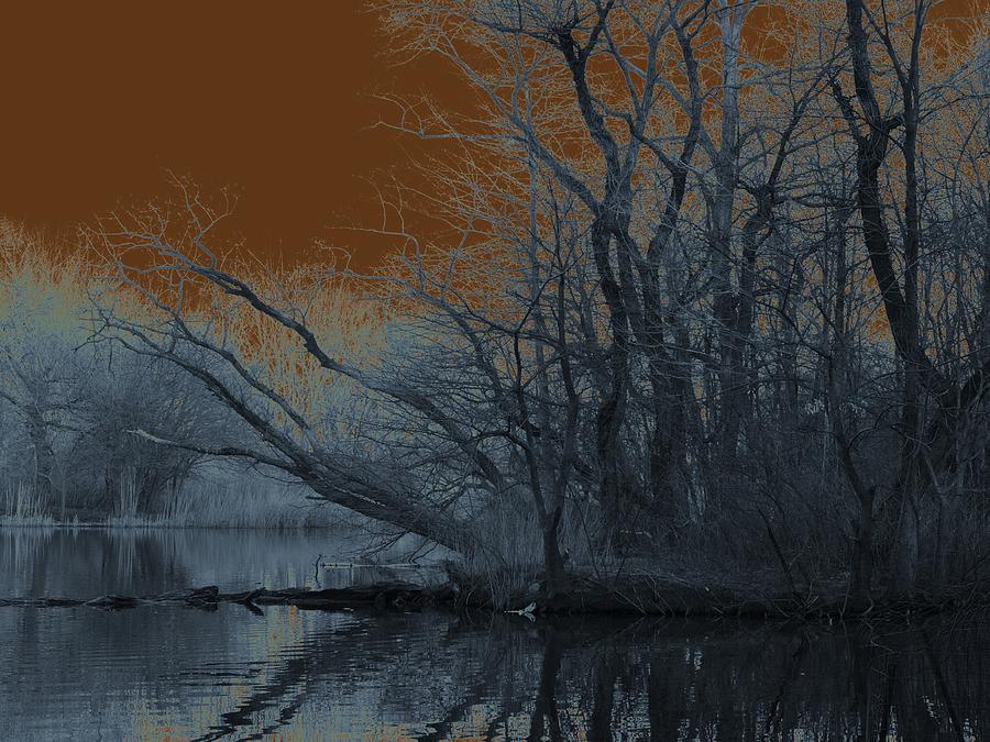 Solarization Photograph - Solarization by Kendall Eutemey Solarization Photograph - Solarization by Kendall Eutemey