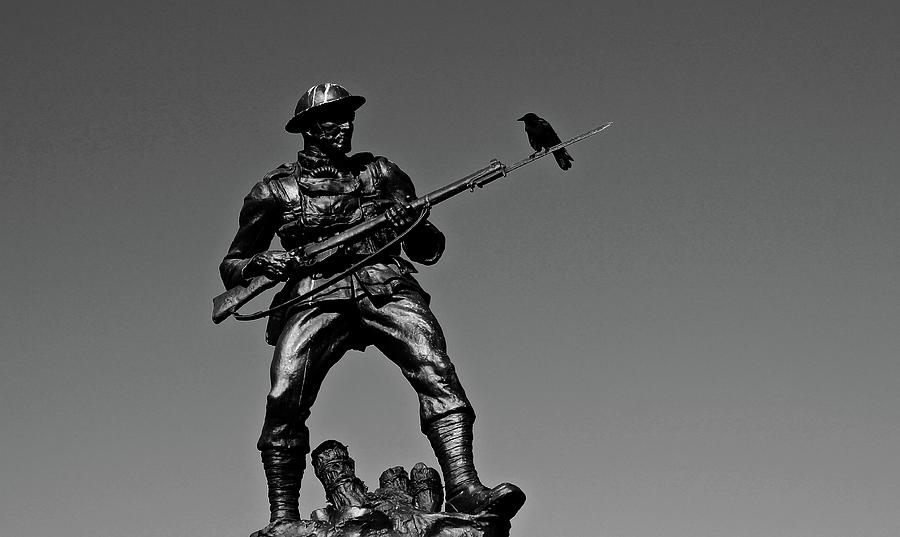 Soldier and Crow Photograph by Brian Sereda