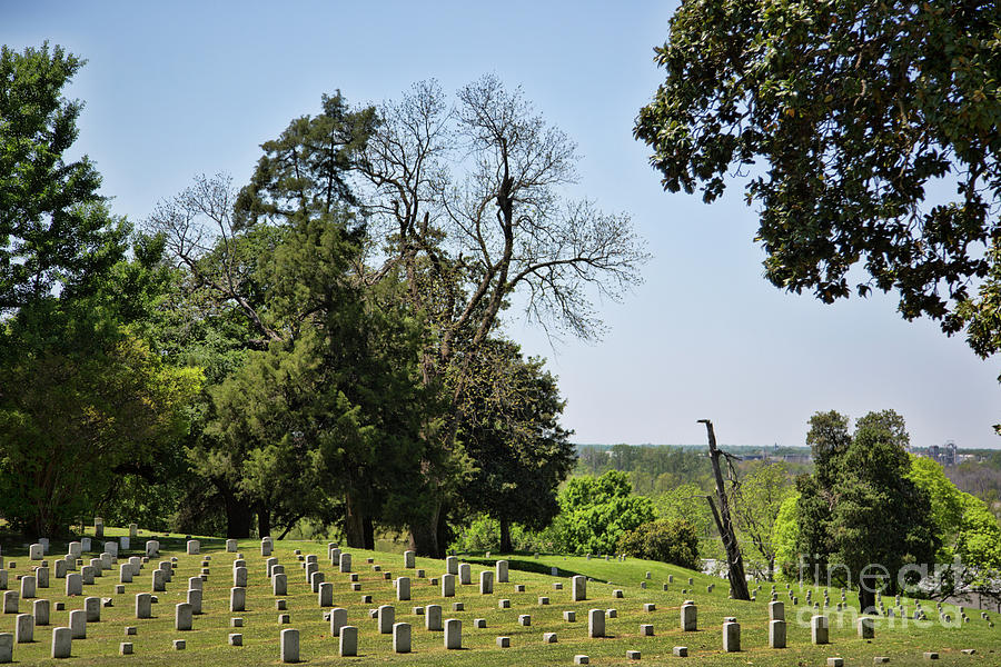 Soldiers Cemetery Vicksburg Military National Park Mississippi  Photograph by Chuck Kuhn