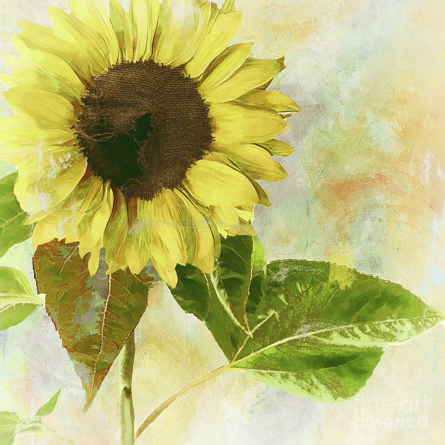 Sunflower Painting - Soleil I Redux by Mindy Sommers