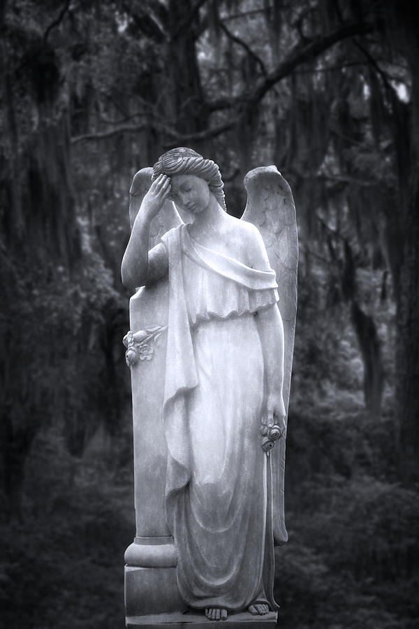 Solemn II Photograph by Mark Andrew Thomas