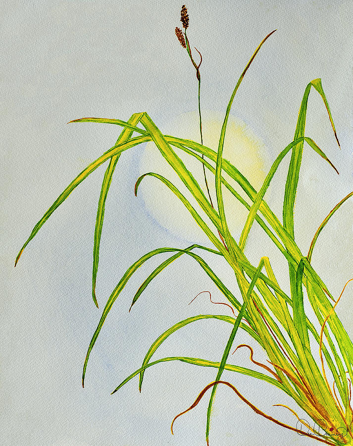 Grass and moon watercolor painting Painting by Dee Browning