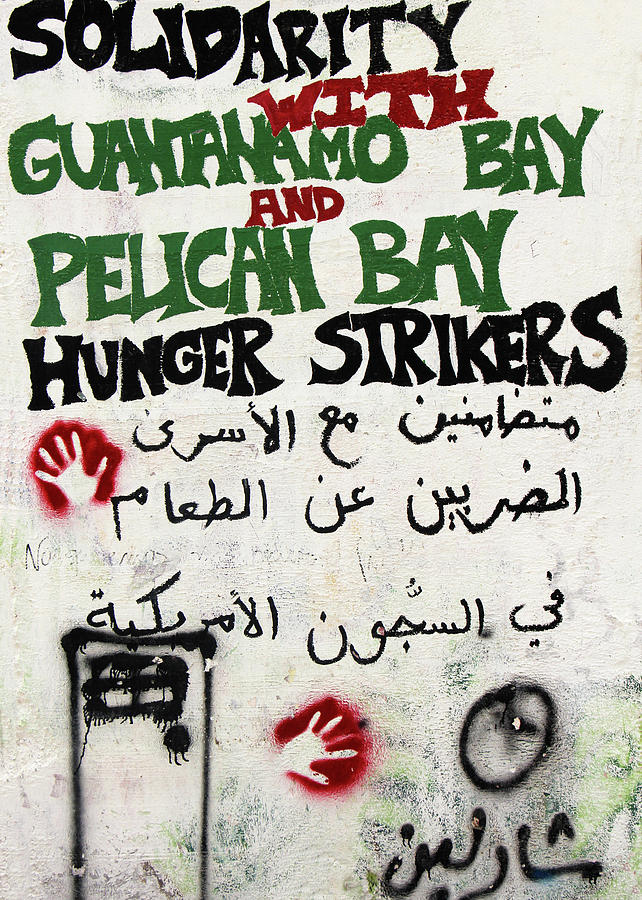 Solidarity with Guantanamo Bay Photograph by Munir Alawi