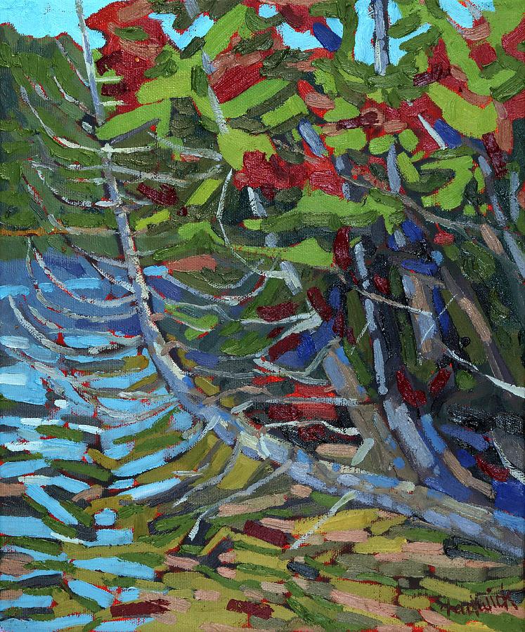 Fall Painting - Solitaire Cedar by Phil Chadwick