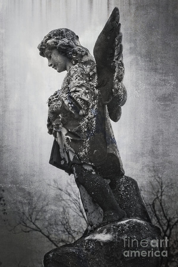 Solitary Angel Photograph by Ella Kaye Dickey