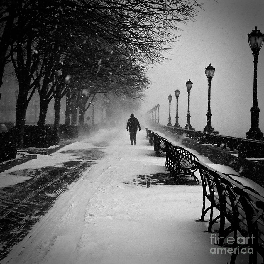 Solitary Man in the Snow Photograph by Debra Banks