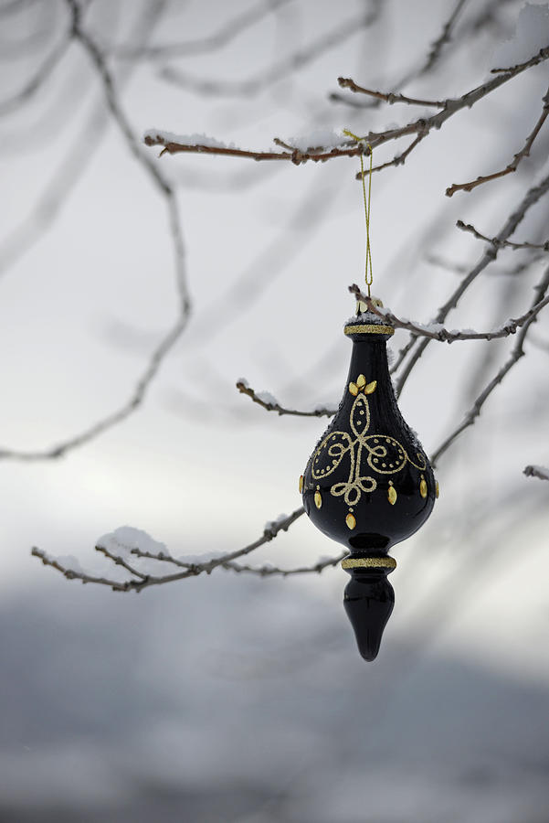 Solitary Ornament Photograph by Whispering Peaks Photography