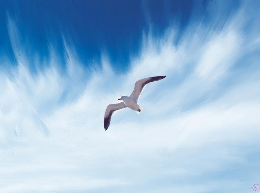 Solitary Seagull Painting by Bruce Nutting