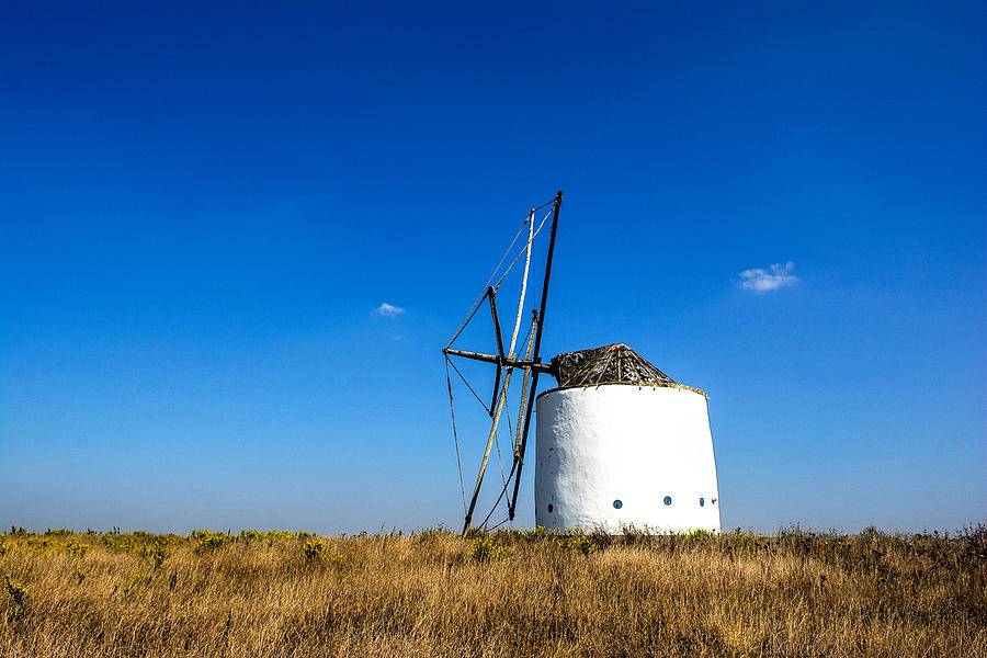 Solitary Windmill Photograph by Marion McCristall