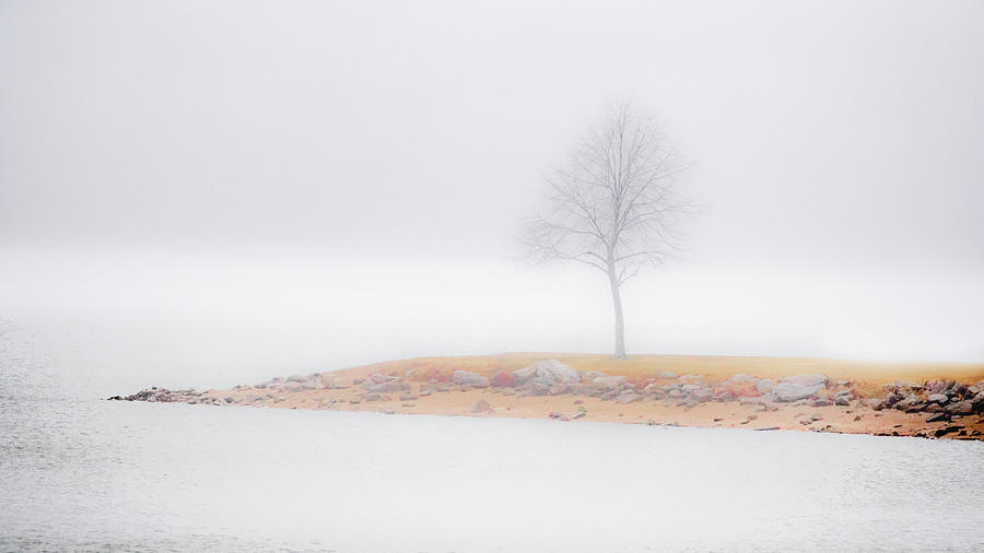 Solitude Photograph by Allin Sorenson