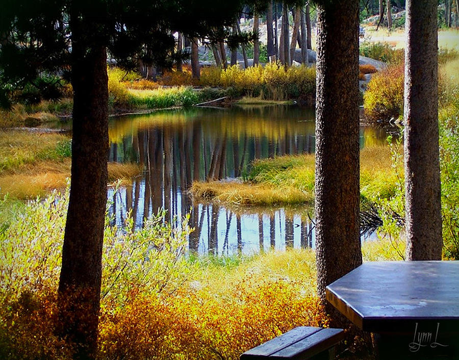 Fall Photograph - Solitude at Donner Pass by S Lynn Lehman