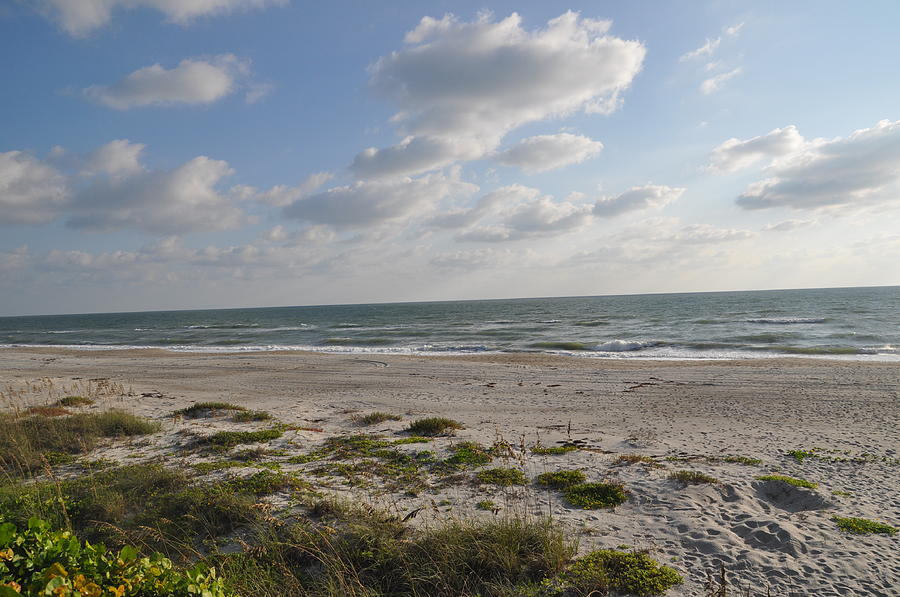 Solitude Beach Photograph by Gibbs Baum - Fine Art America