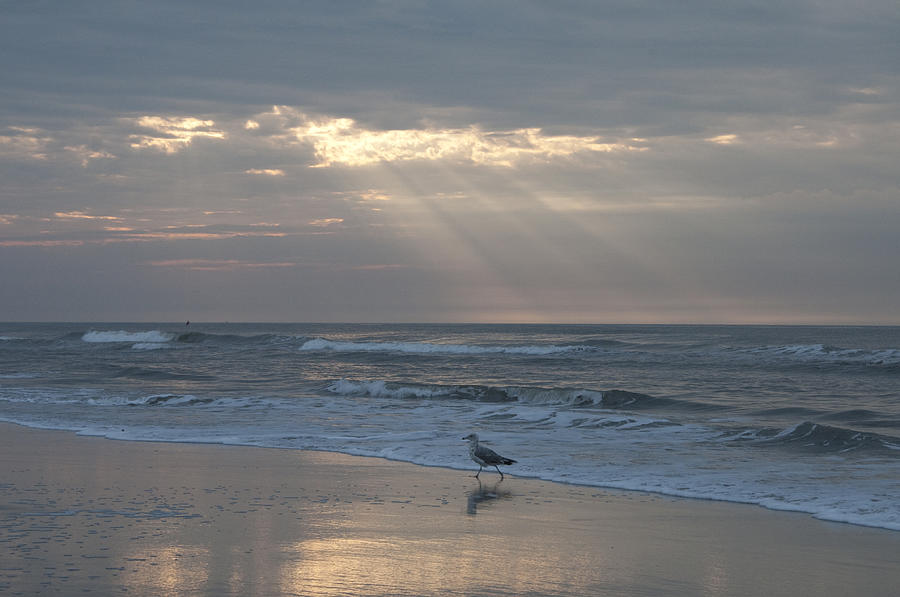 Beach Photograph - Solitude by Bill Cannon