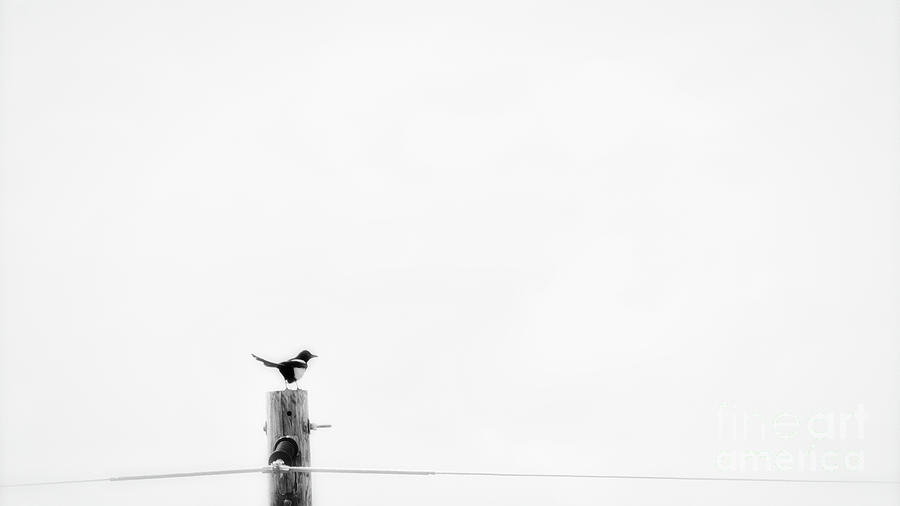Solitude by Bitter Buffalo Photography Solitude by Bitter Buffalo Photography